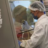 La viande cultivée en laboratoire pourrait arriver en Suisse d'ici quelques années. Une demande a été déposée (illustration).